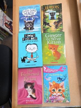 6 Childrens Story Books About Cats